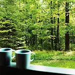Appartement Z Widokiem Na Park