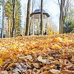 Z Widokiem Na Park