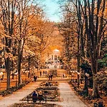 Z Widokiem Na Park Appartement *