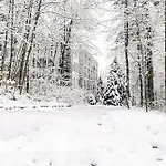 Z Widokiem Na Park Appartement Polanica-Zdrój