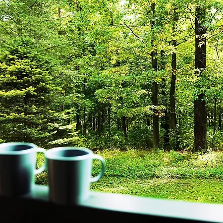 Apartmán Z Widokiem Na Park