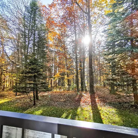 Lejlighed Z Widokiem Na Park *