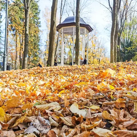 Z Widokiem Na Park