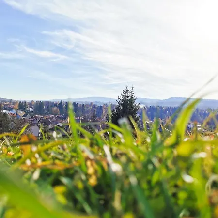 Z Widokiem Na Park Apartment *