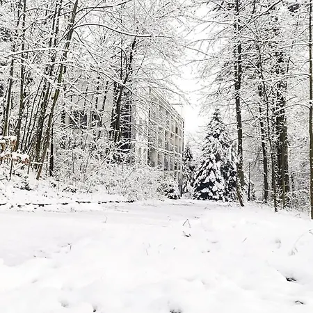 Z Widokiem Na Park Apartament Polanica-Zdrój