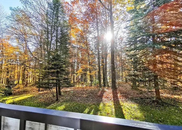 Apartamento Z Widokiem Na Park *