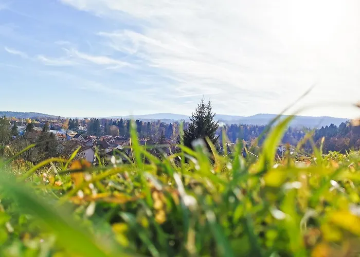 Z Widokiem Na Park 아파트 *